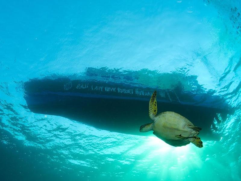 Raja Laut Dive Resort Bunaken Exterior photo